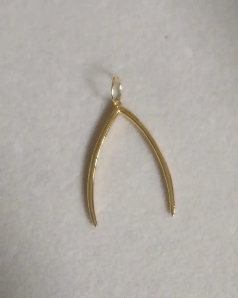 Shimmer & Wish Gold Charm