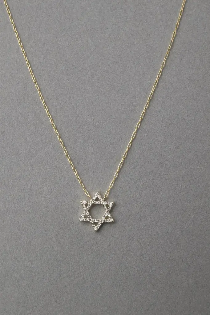 Paperclip Jewish Star Necklace