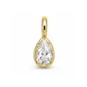 The Pear Icon Charm 