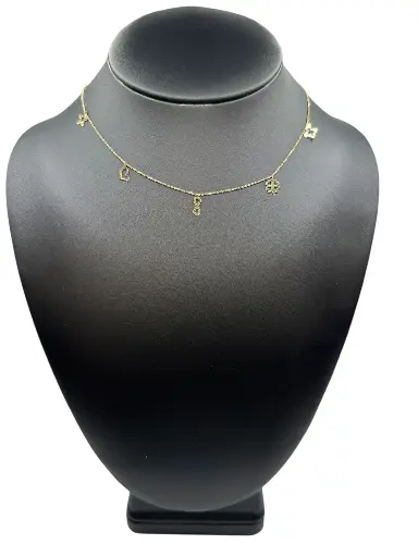 Delicate Charm Necklace