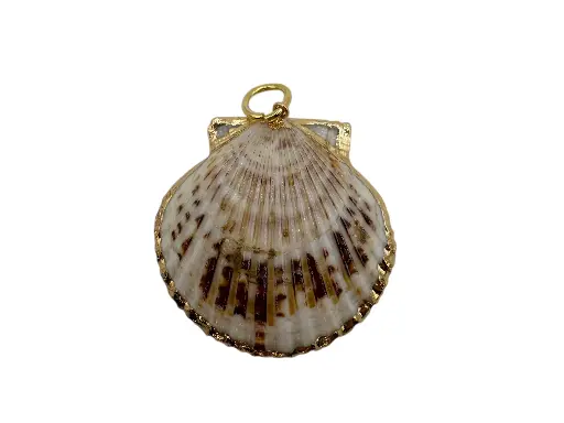 Golden Shell Charm