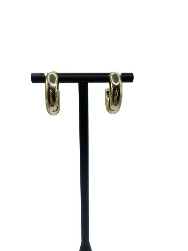 Chunky Gold Hoop Earrings YG
