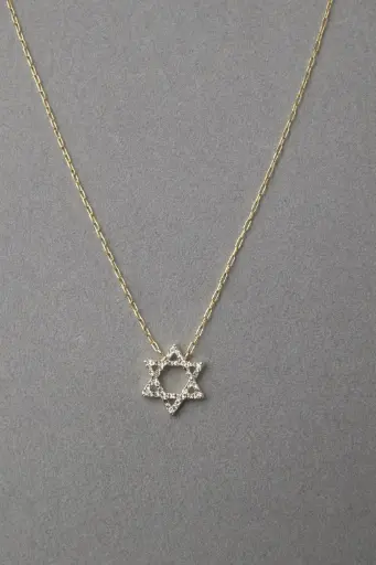Paperclip Jewish Star Necklace
