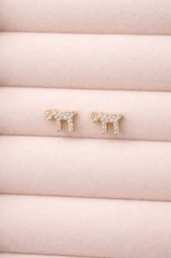 Micro Chai Earrings  YG