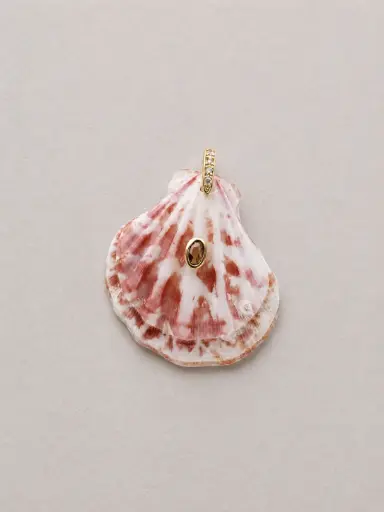 Shell with Gem Charm